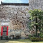 Old Street & Back 20km 240m