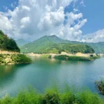 Gravel Reservoir + Botanicals