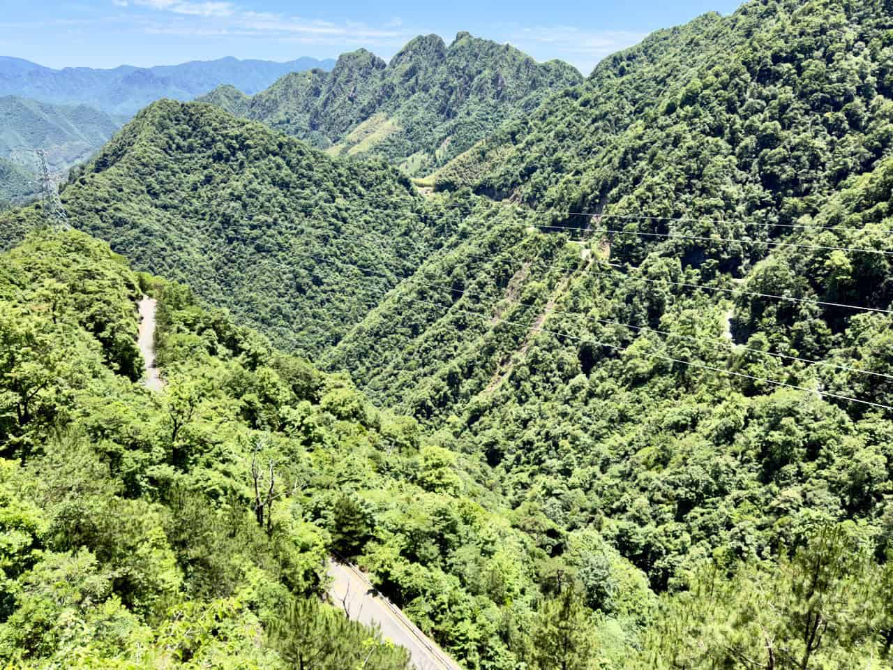 植物园线
